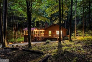 Lake Home For Sale in Blue Ridge, Georgia