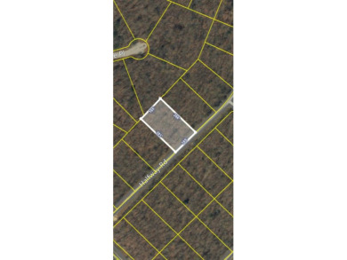 Lake Lot For Sale in Monterey, Tennessee