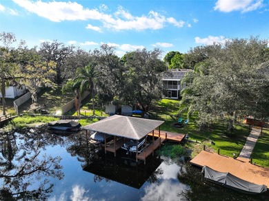 Lake Susan Home For Sale in Clermont Florida