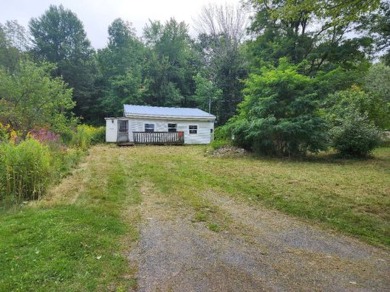 Lake Home For Sale in Delanson, New York