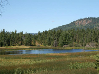 (private lake) Acreage For Sale in Valley Washington