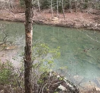 Lake Acreage For Sale in Wilder, Tennessee