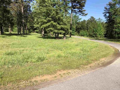 Vacant Lot to build your Lake House ONE of the only 2 Gated - photo 2