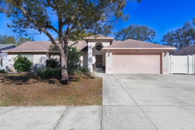 Lake Home For Sale in Riverview, Florida