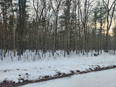 Petenwell Lake Deeded Access Lot! Create your perfect Northwoods - photo 11