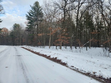Petenwell Lake Deeded Access Lot! Create your perfect Northwoods - photo 13