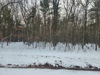 Petenwell Lake Deeded Access Lot! Create your perfect Northwoods - photo 15