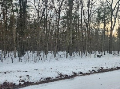 Petenwell Lake Deeded Access Lot! Create your perfect Northwoods - photo 16