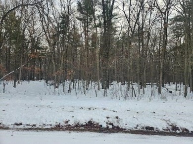 Petenwell Lake Deeded Access Lot! Create your perfect Northwoods - photo 17