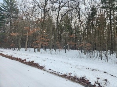 Petenwell Lake Deeded Access Lot! Create your perfect Northwoods - photo 18