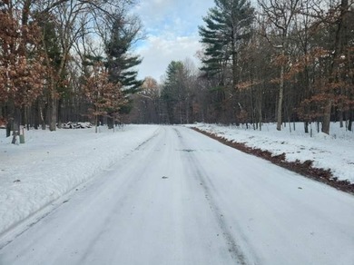 Petenwell Lake Deeded Access Lot! Create your perfect Northwoods - photo 20