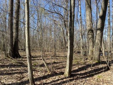 Black Lake - St. Lawrence County Acreage For Sale in Heuvelton New York