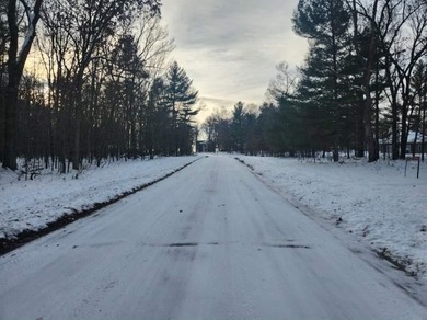Petenwell Lake Deeded Access Lot! Create your perfect Northwoods - photo 21