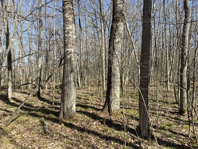 Additional listing photo 1