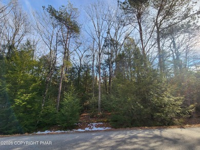 Towamensing Trails Lake Lot For Sale in Albrightsville Pennsylvania
