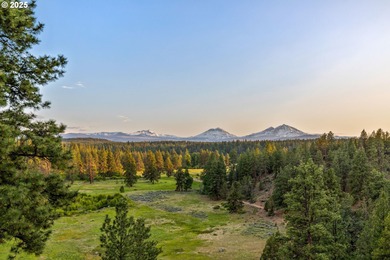 Welcome to 16465 Suntree Lane, a rare legacy estate set on 67 - photo 48