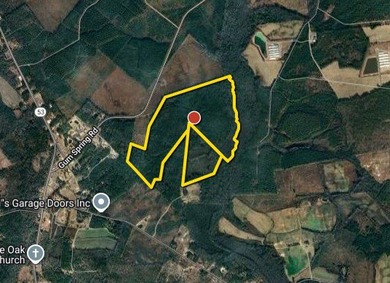 (private lake, pond, coastal) Acreage For Sale in White Oak North Carolina