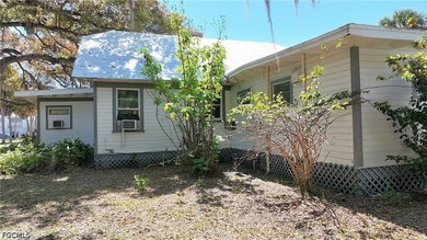 Charming single family home located near downtown Ft Myers! - photo 30