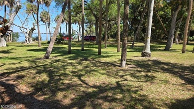 Charming single family home located near downtown Ft Myers! - photo 39