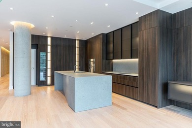 Experience the pinnacle of modern Philadelphia living at 223 S - photo 44