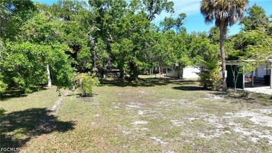 Charming single family home located near downtown Ft Myers! - photo 47