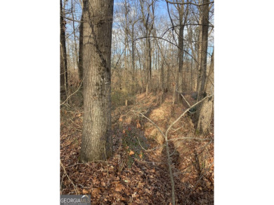 (private lake, pond, creek) Lot For Sale in Royston Georgia