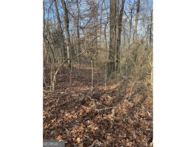 (private lake, pond, creek) Lot For Sale in Royston Georgia