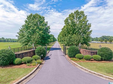 Award-winning custom Southern Living-style home on 160 acres of - photo 49