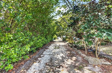 A SLICE OF PARADISE! Live free from HOA restrictions on this - photo 49