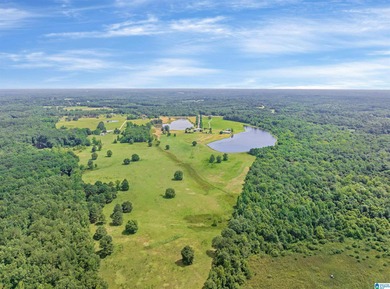 Award-winning custom Southern Living-style home on 160 acres of - photo 54