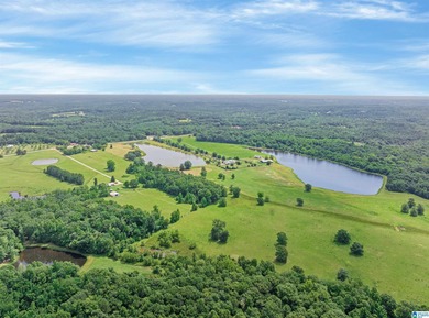 Award-winning custom Southern Living-style home on 160 acres of - photo 56