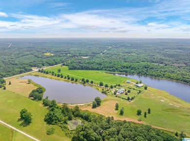 Award-winning custom Southern Living-style home on 160 acres of - photo 57