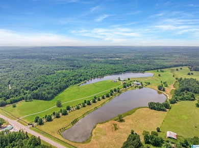 Award-winning custom Southern Living-style home on 160 acres of - photo 58