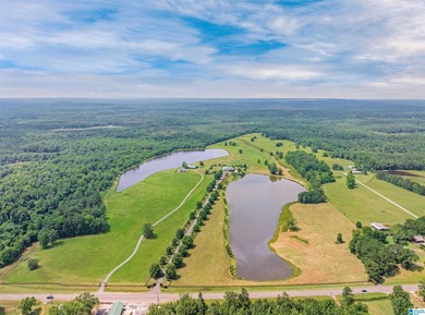 Award-winning custom Southern Living-style home on 160 acres of - photo 59