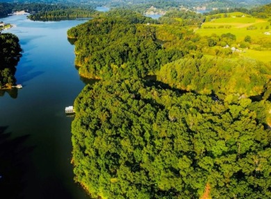 Lake Lot For Sale in Piney Flats, Tennessee