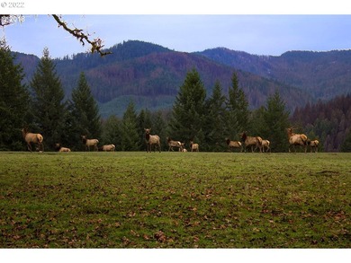 Rare opportunity to own Illahee Ranch, rich with Native American - photo 3