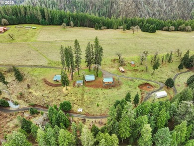 Rare opportunity to own Illahee Ranch, rich with Native American - photo 6
