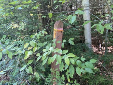 Lake Acreage For Sale in Lakeville, Maine