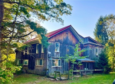 Lake Home For Sale in Kortright, New York