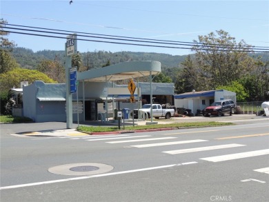 Lake Commercial For Sale in Lucerne, California