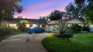 Lake Home For Sale in Orlando, Florida