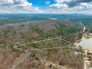 Spectacular Mountain-Top Lake Views on 34+ Acres! Wake up to - photo 12
