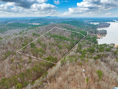 Spectacular Mountain-Top Lake Views on 34+ Acres! Wake up to - photo 13