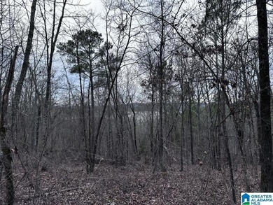 Spectacular Mountain-Top Lake Views on 34+ Acres! Wake up to - photo 14