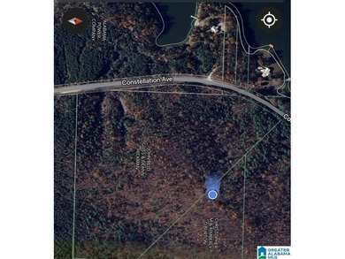 Spectacular Mountain-Top Lake Views on 34+ Acres! Wake up to - photo 15