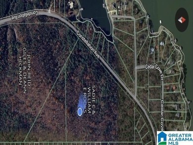 Spectacular Mountain-Top Lake Views on 34+ Acres! Wake up to - photo 17