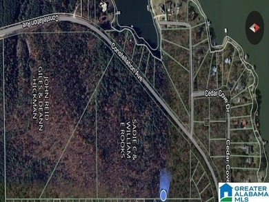Spectacular Mountain-Top Lake Views on 34+ Acres! Wake up to - photo 18
