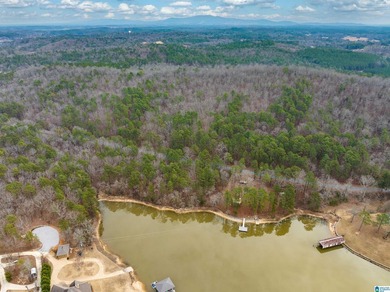 Spectacular Mountain-Top Lake Views on 34+ Acres! Wake up to - photo 19