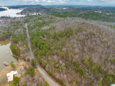 Spectacular Mountain-Top Lake Views on 34+ Acres! Wake up to - photo 20