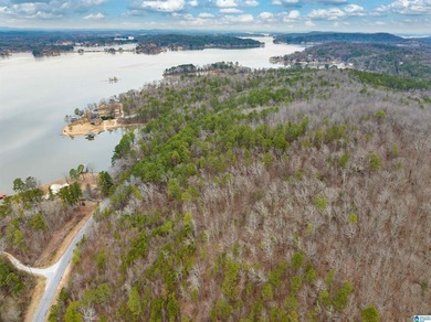 Spectacular Mountain-Top Lake Views on 34+ Acres! Wake up to - photo 21